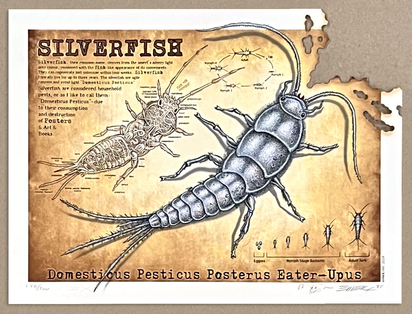Silverfish Handbill