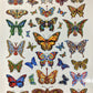 Dead Butterflies Stickers by Emek