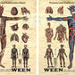 Ween Anatomy Set of 2 Posters by Emek