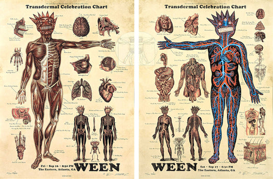 Ween Anatomy Set of 2 Posters by Emek